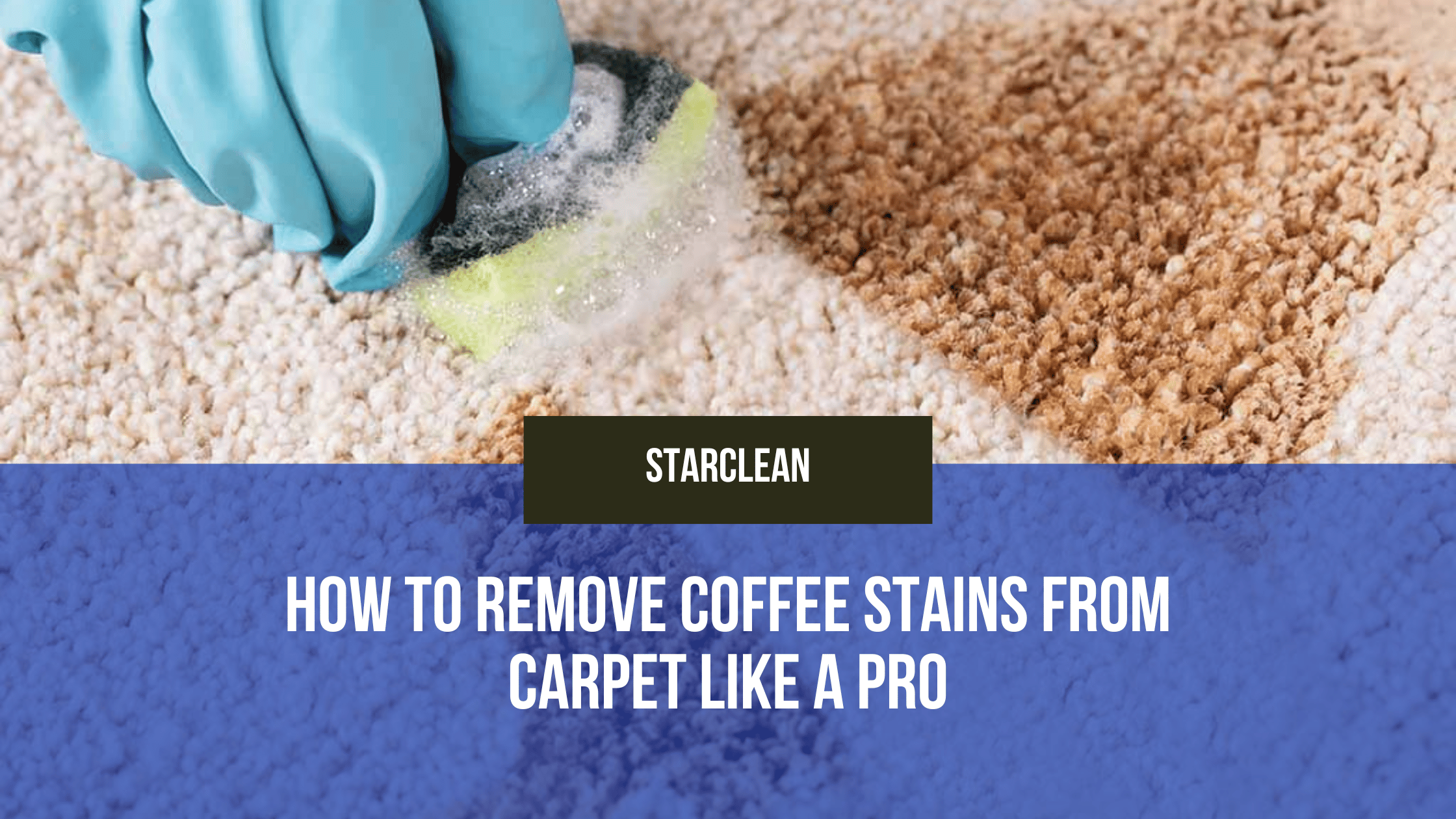 Remove Coffee Stains from Carpet Like a Pro
